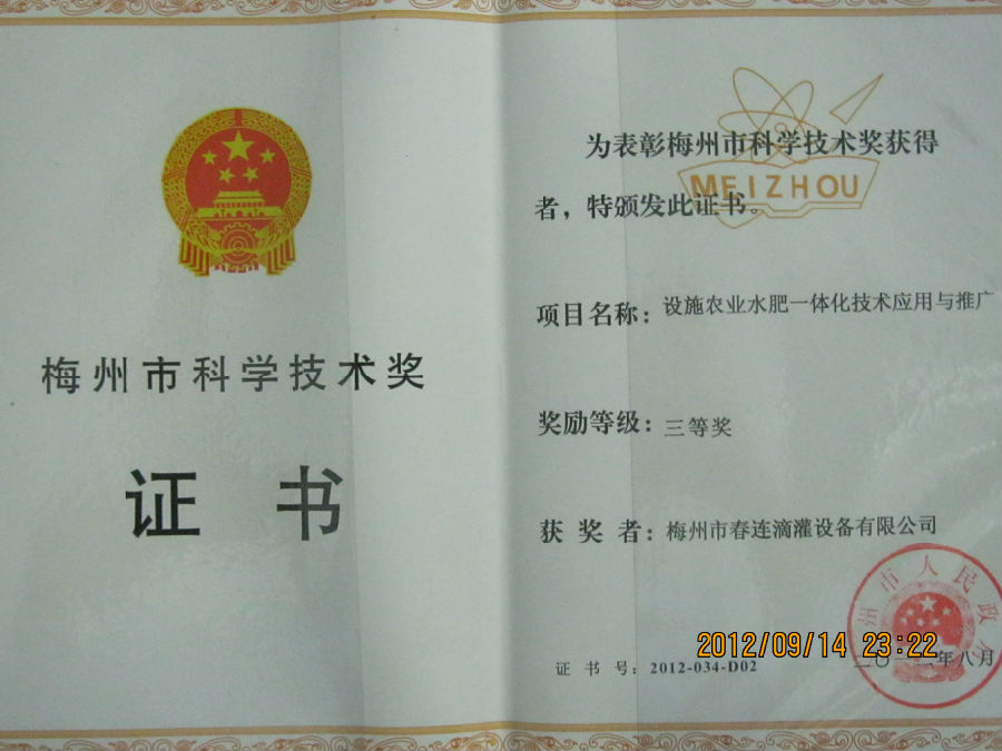伦一理一级一a一片